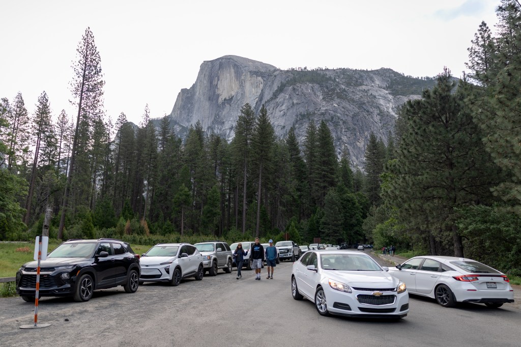 Yosemite visitors rage after rabies case revealed months after infected bat found dead at famed camp