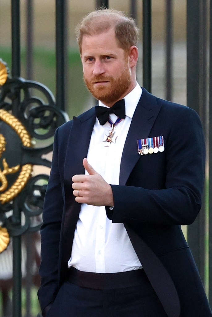 Prince Harry steps out sans Meghan Markle for first official outing since turbulent UK return