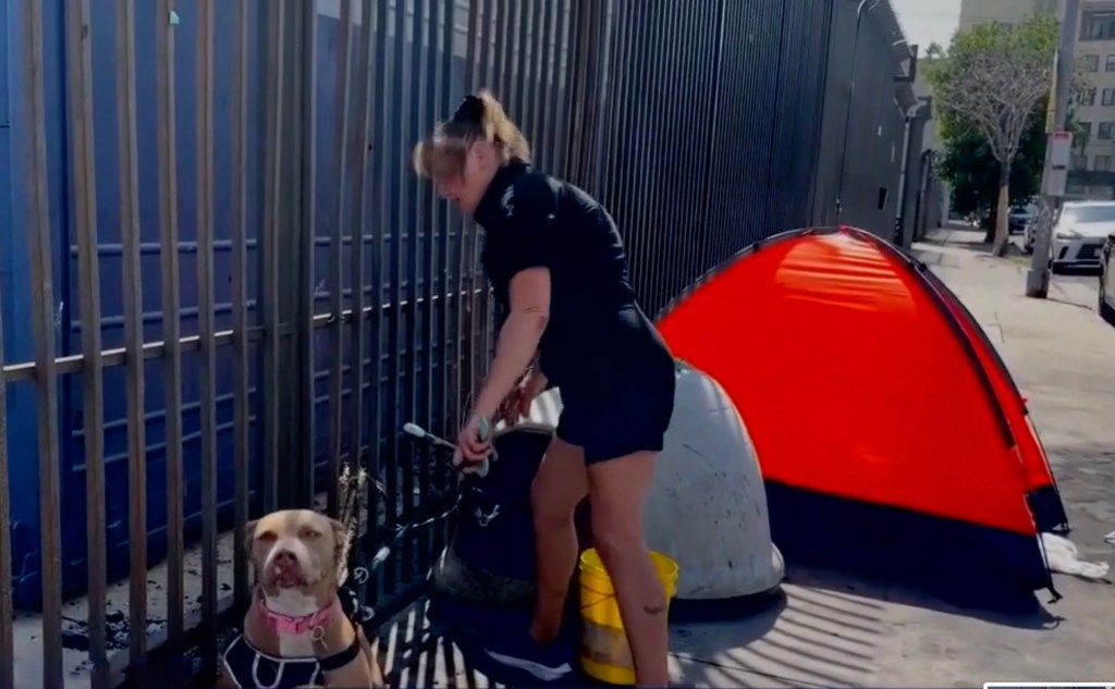 Hero stranger rescues helpless dog chained to Skid Row van after it’s set on fire
