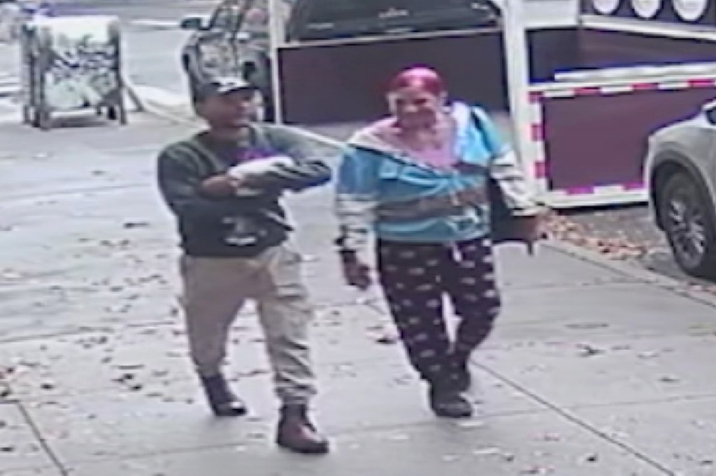 Beloved NYC bodega cat stolen from store as kitty’s fans have their claws out for the petnappers