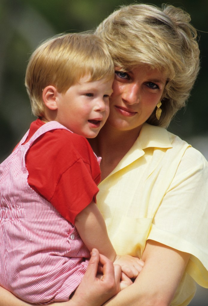 Prince Harry ‘wooing’ Earl Spencer for rumored Princess Diana documentary