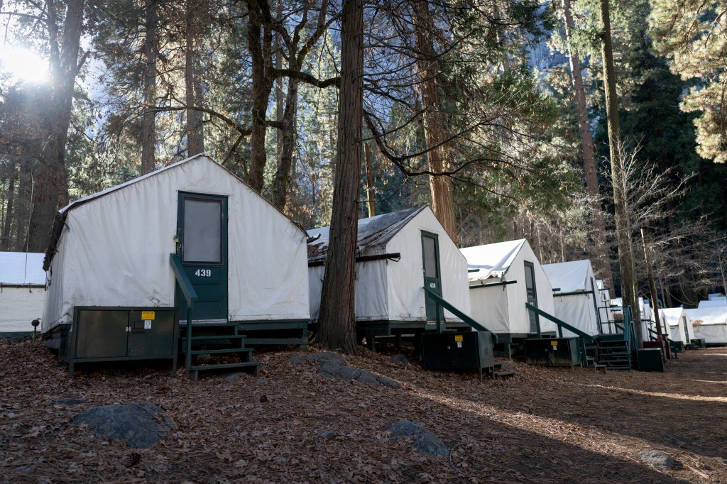 Yosemite visitors rage after rabies case revealed months after infected bat found dead at famed camp