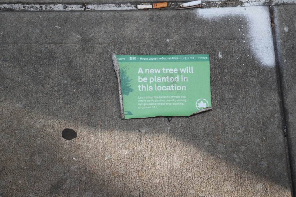 ‘Nervous’ residents of one NYC nabe say new, city-planted trees will ruin area’s Feng Shui, bring ‘bad luck’