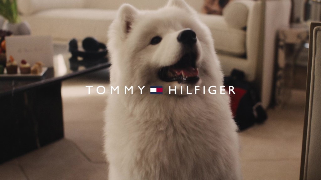 Travis Kelce and Taylor Swift’s dog makes fashion debut alongside tight end in Tommy Hilfiger campaign