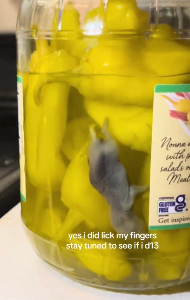 Peperoncini jar allegedly containing dead mouse unearthed by TikTok user prompts mass recall