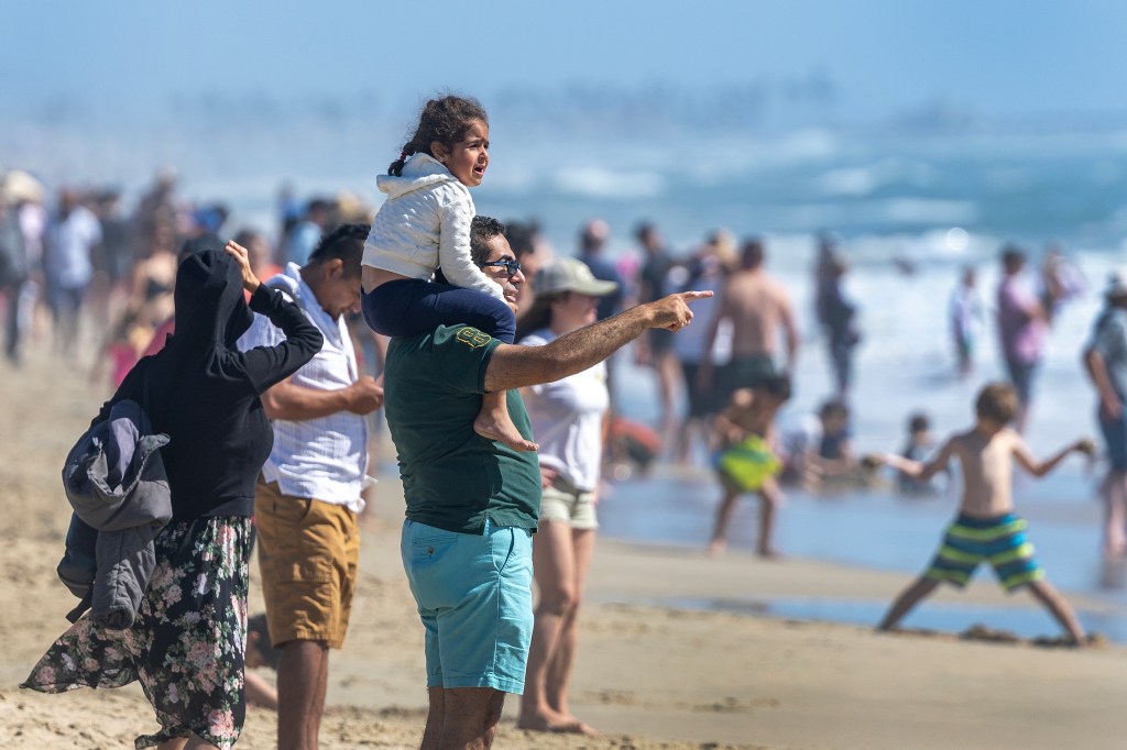 Beach battle erupts as classic California event faces closure over environmental backlash