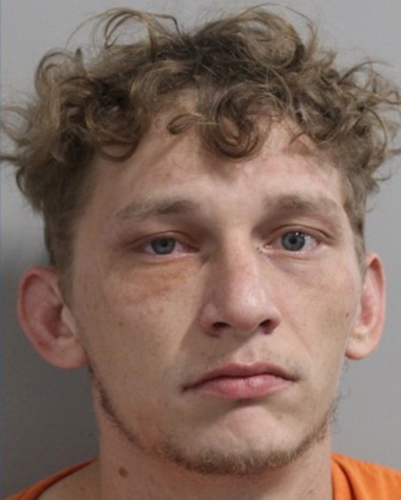 Florida DUI suspect drops baby, toddler into gator-infested swamp while running from cops: video
