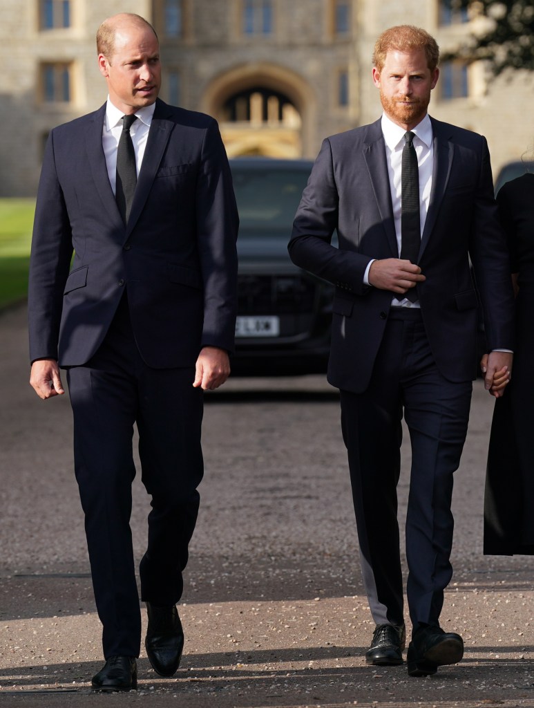 ‘Concerned’ Prince William has ‘washed his hands’ of estranged brother Prince Harry after latest ‘distraction’