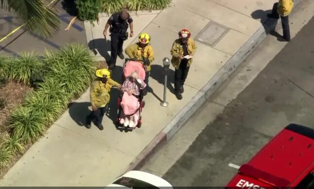 Horror as Tesla crashes near busy LA Trader Joe’s killing one and injuring others