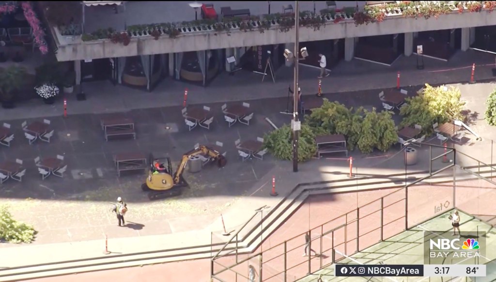 San Francisco residents fume as iconic trees are axed in $40M park revamp