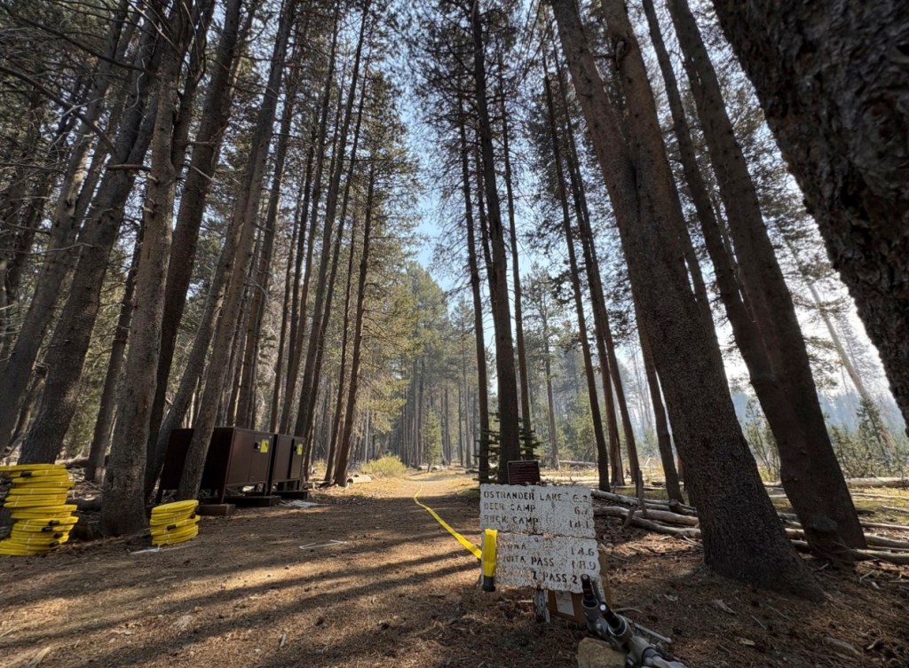 Wildfire closes road to iconic Yosemite viewpoint