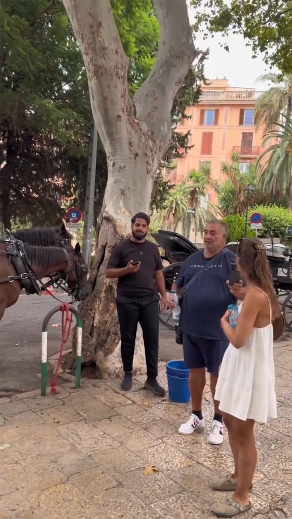 Wild coachman flies into hateful rage after kind tourist offers his horse water