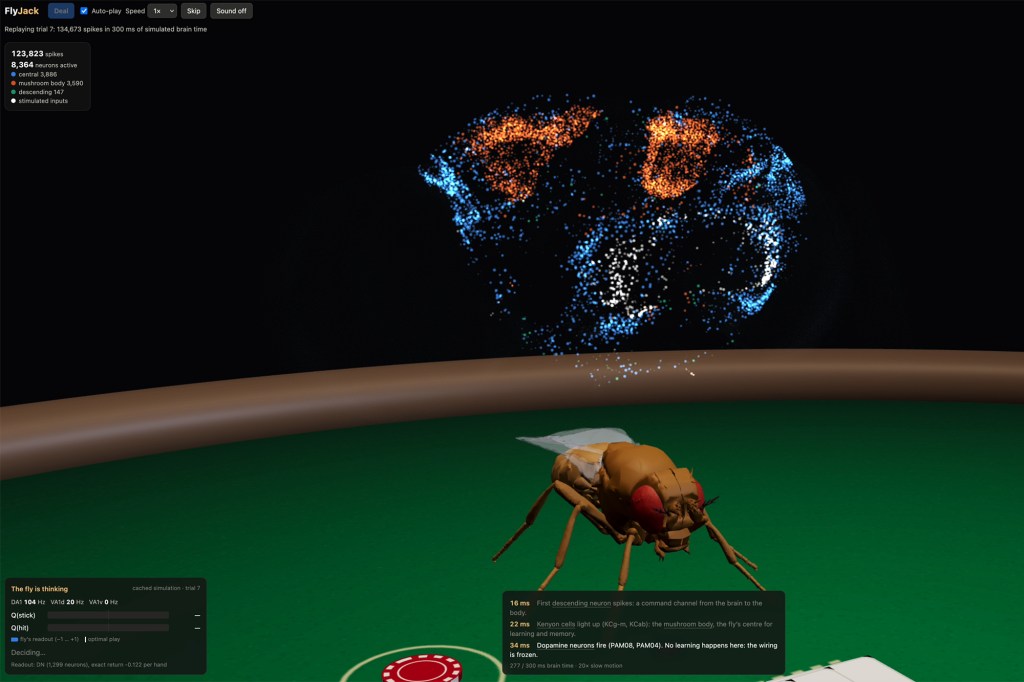Fruit fly beats advanced AI at chess in just 11 moves — and that’s just the start