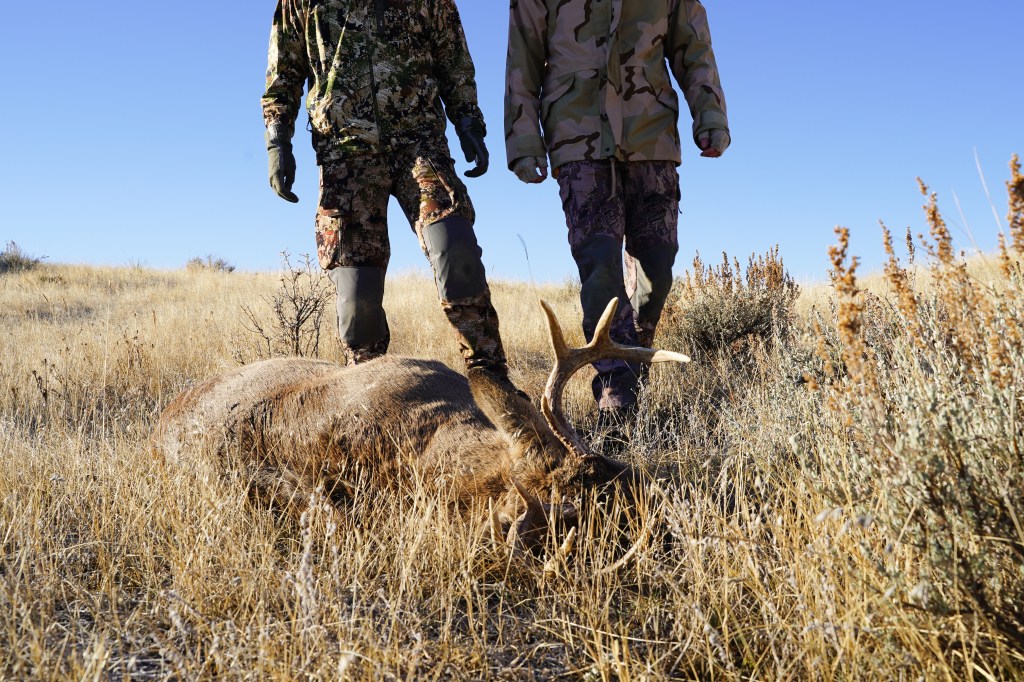 Blood-soaked California poachers arrested after cops make horrifying discovery