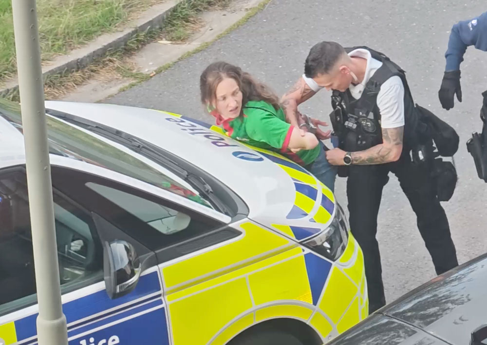 Shocking video of Belgium police officer slapping handcuffed woman across the face sparks outrage