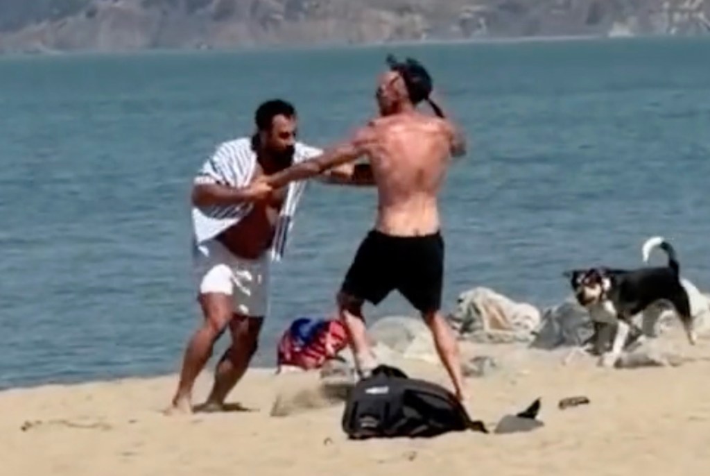 Wild brawl breaks out on California beach as martial artist describes violent dust-up: ‘ran into the wrong person’