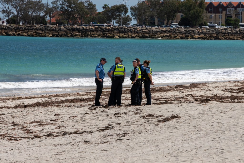 Dad mauled to death by shark in front of horrified friend as rare kill order issued for monster great white