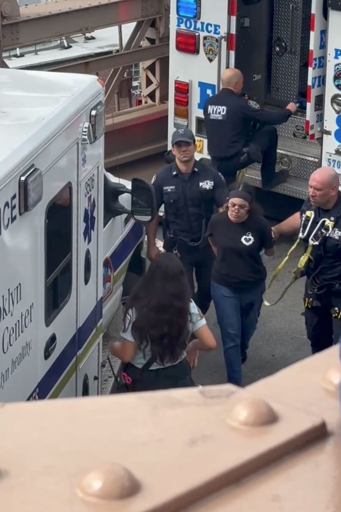 NYPD heroically rescues woman about to jump off Brooklyn Bridge, harrowing video shows