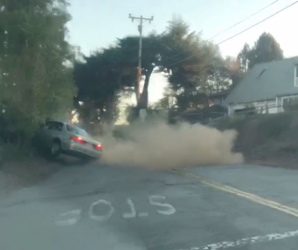 49ers fan busted after weird, slow-motion wreck spree