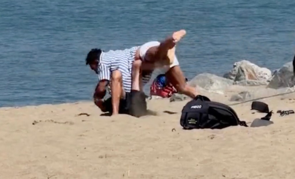Wild brawl breaks out on California beach as martial artist describes violent dust-up: ‘ran into the wrong person’