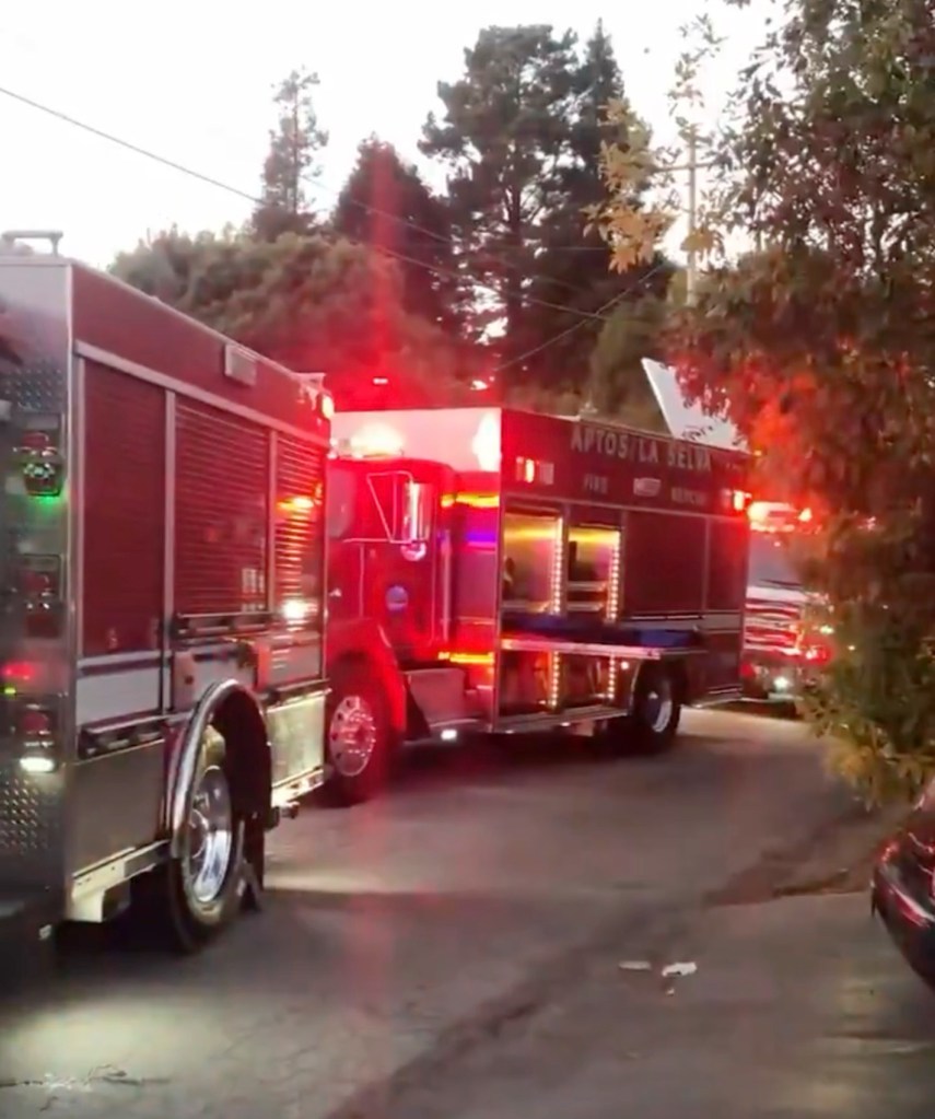49ers fan busted after weird, slow-motion wreck spree