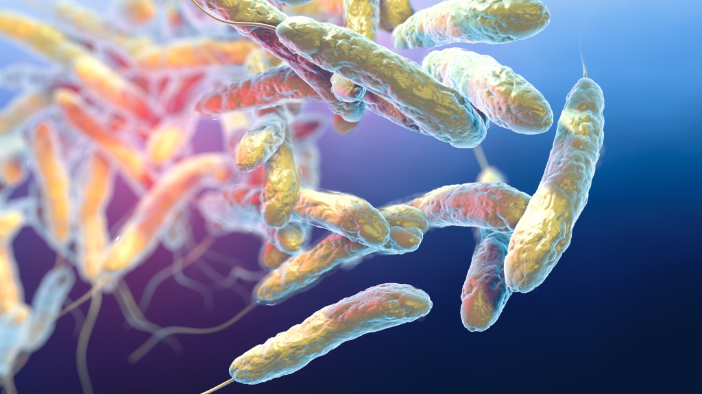 Legionnaires’ bacteria detected in 10 Bronx cooling towers, including Yankee Stadium: NYC health officials