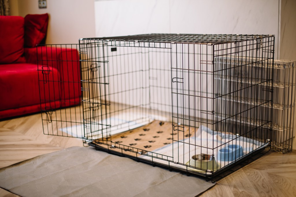 Evil stepmom accused of trapping girls in dog cage before they made daring escape