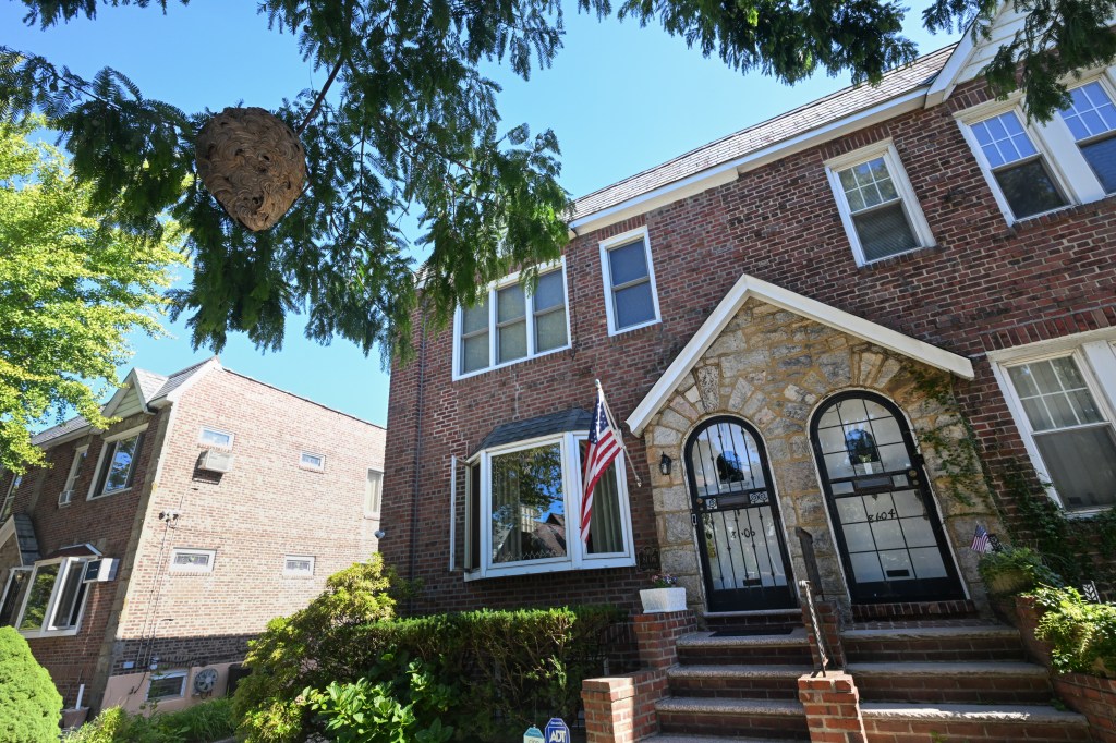 NYC refuses to remove massive hornets’ nest from Queens tree, tells terrified residents to foot the bill