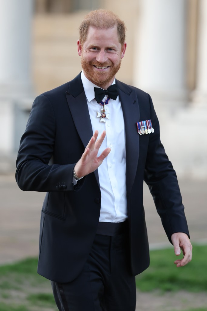 Prince Harry steps out sans Meghan Markle for first official outing since turbulent UK return