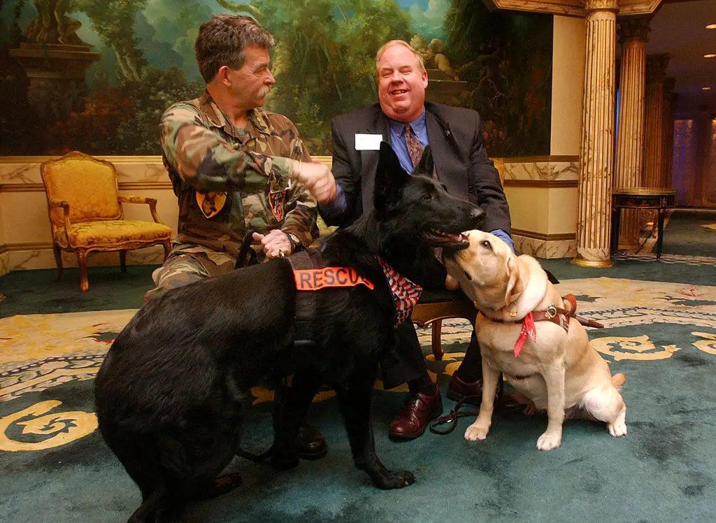 Blind 9/11 survivor credits 'hero' guide dog with saving dozens of lives in incredible escape