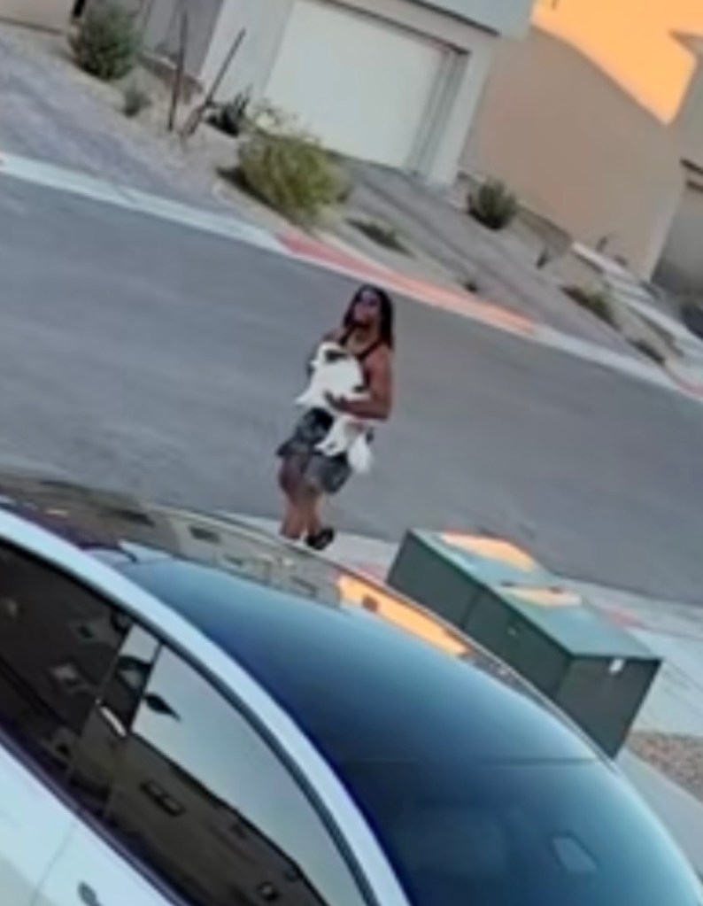 Eerie video shows man chasing and abducting Pomeranian out of family’s driveway