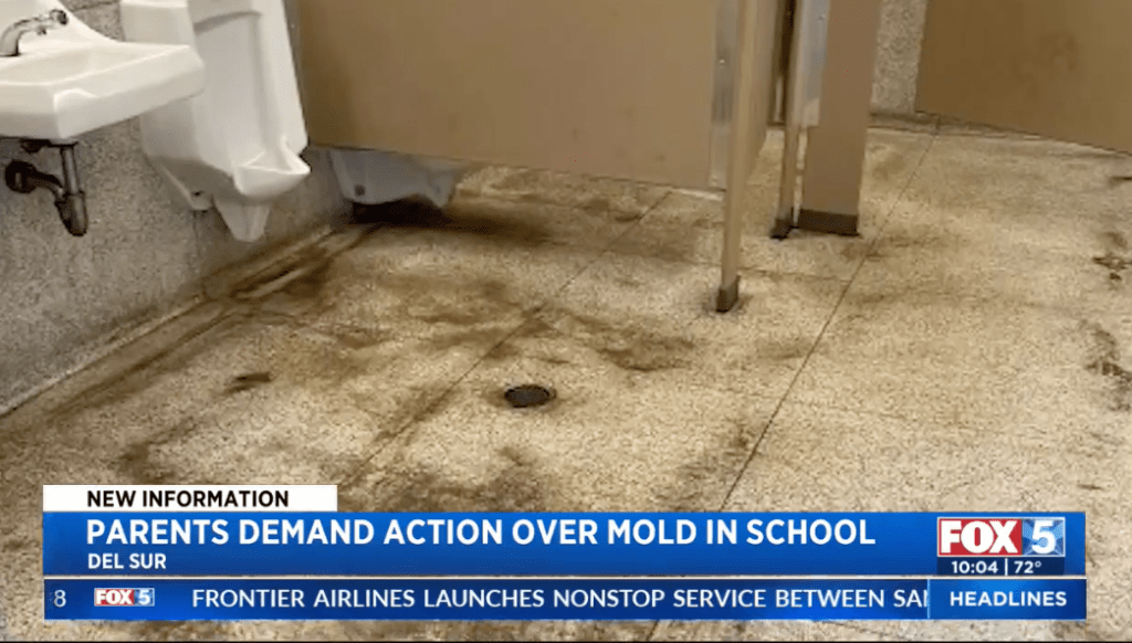 Chaos at San Diego school as kids shut out of classrooms until January due to mold