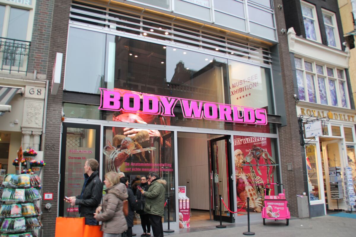 Organisers slammed as dead bodies having sex put on display