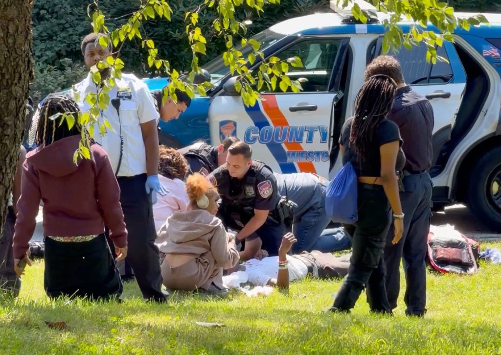 Disturbing video captures bloody Westchester college campus stabbing with 3 students injured