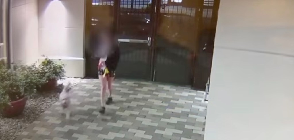 Terrifying moment homeless man chases California college student into her off-campus home