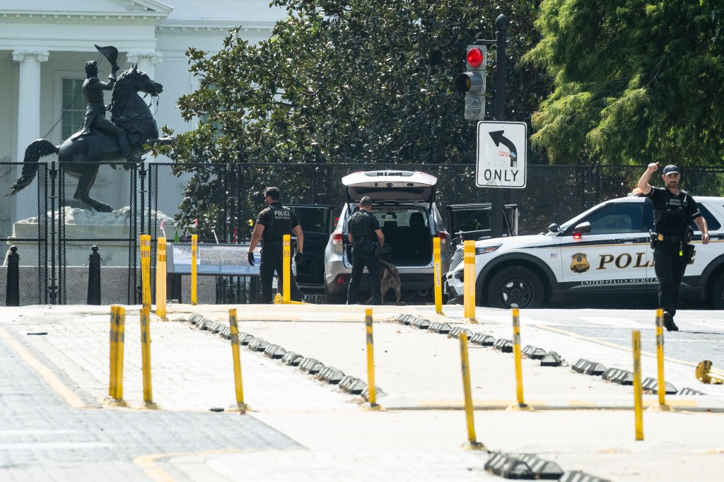 Deranged man allegedly drives on sidewalk near White House, demands to speak to Trump
