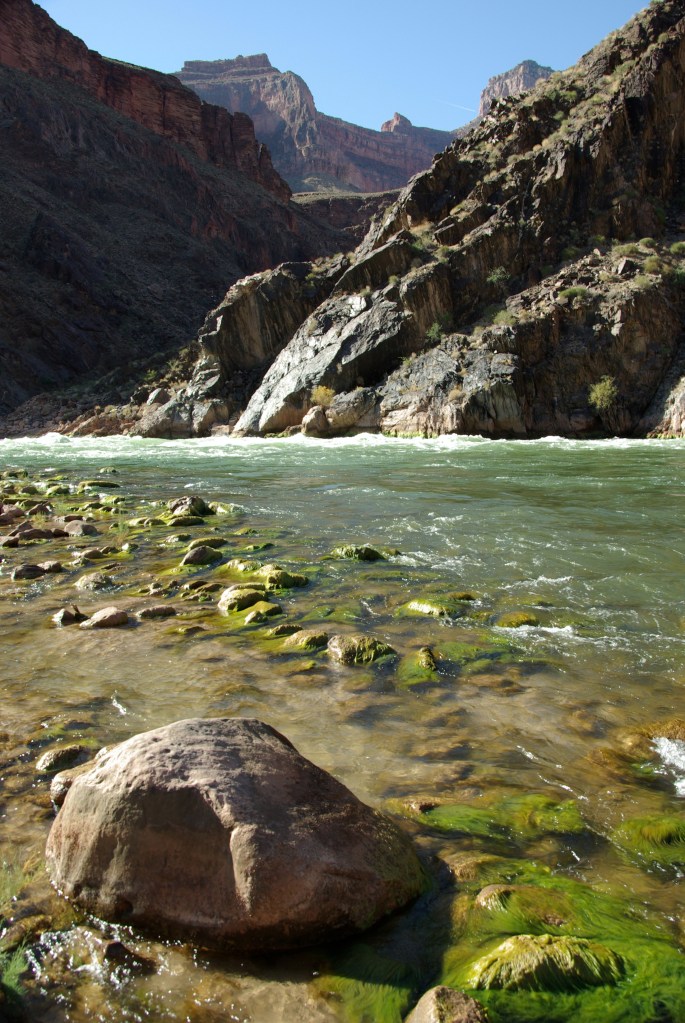 Human remains found in Grand Canyon during search for Timothy Allen Smith, hiker who vanished in flash flood weeks ago