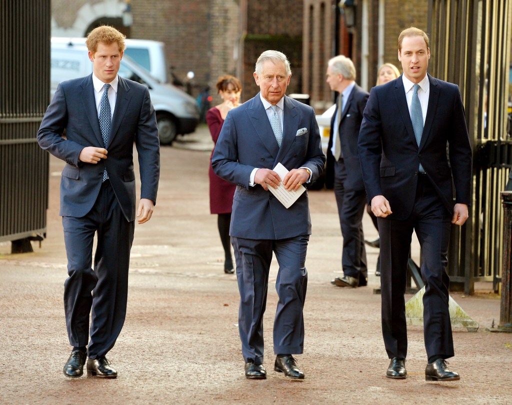 The one thing King Charles and Prince William agree on regarding Prince Harry, Meghan Markle revealed