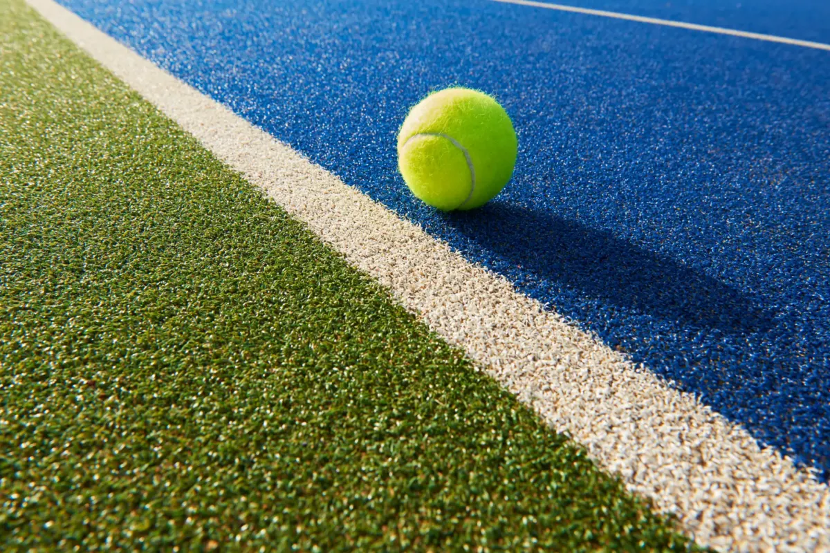 Thousands of tennis ball-sized spiders are invading homes this month — here's how to keep them out