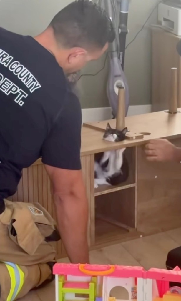 California firefighters rush to save Suki the kitten wedged inside cabinet as rescue becomes viral hit