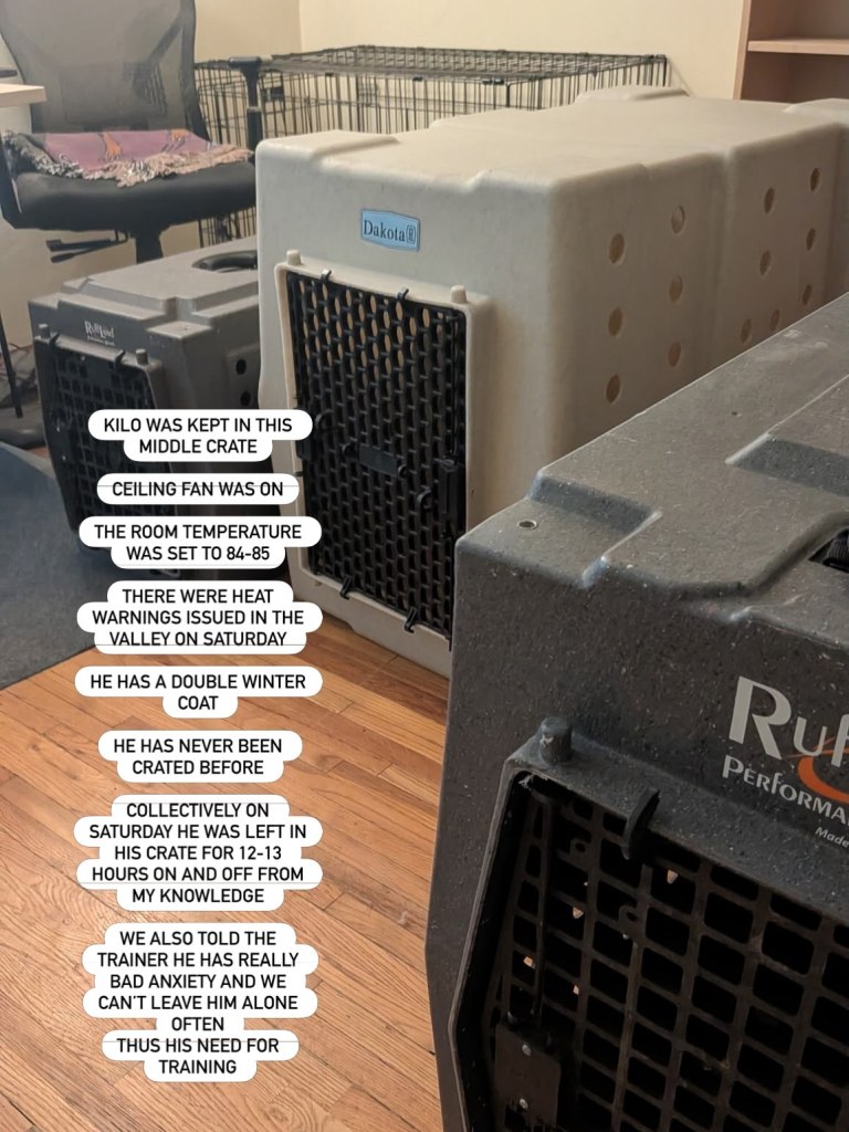 Adored puppy dies at LA training school after allegedly being locked in cage for hours in sweltering heat