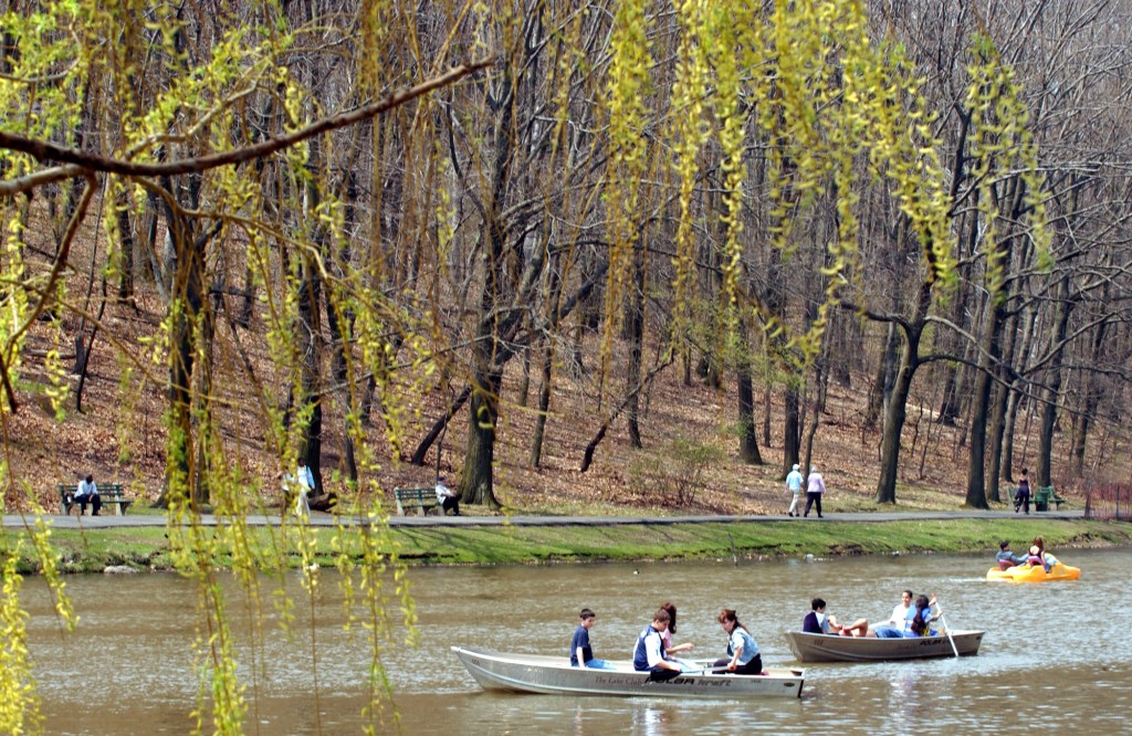 NYC eatery spews raw sewage into park’s fishing, boating lake — and officials don’t care: whistleblower