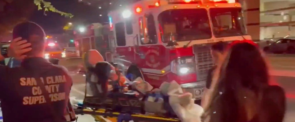 Distrubing scenes at California EDM show as 14 concertgoers hospitalized
