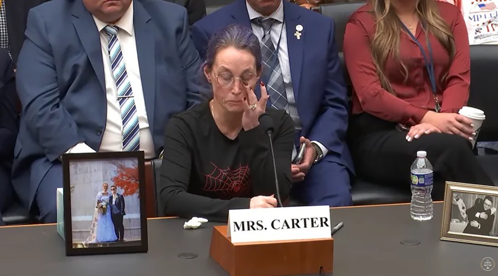 ‘Lifelong Democrat’ admits she is ‘ashamed’ of party after son killed in illegal immigrant crash
