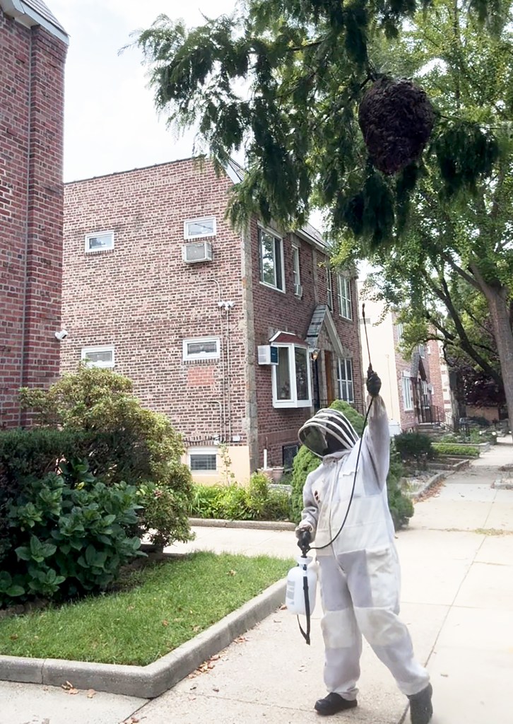 ‘Superhero’ exterminator voluntarily rids NYC block of massive hornets nest after lazy officials refused
