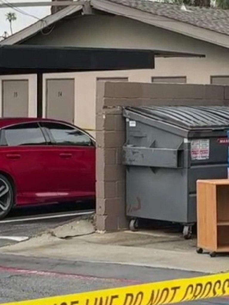 Evil mother accused of abandoning baby inside dumpster revealed after year-long investigation