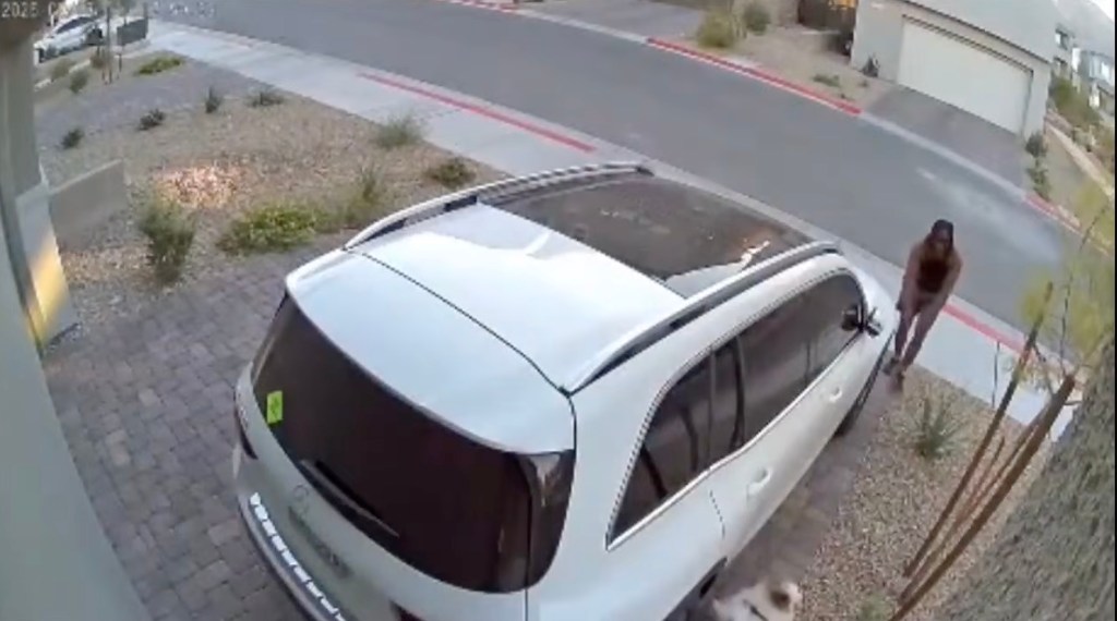 Eerie video shows man chasing and abducting Pomeranian out of family’s driveway