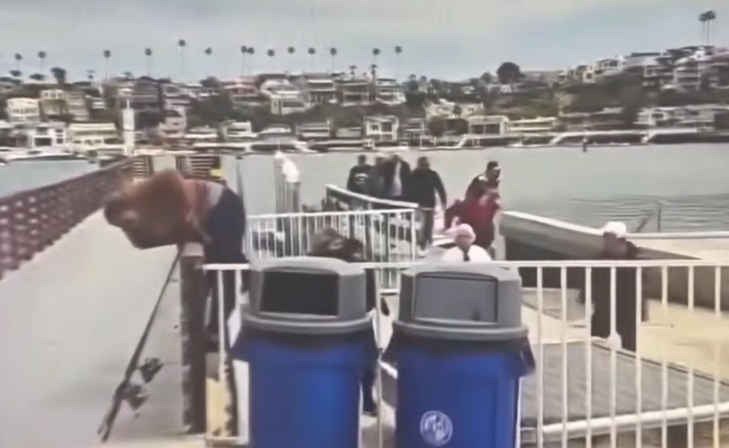 Large group of suspected illegal migrants dumped in ritzy California harbor before fleeing among mansions