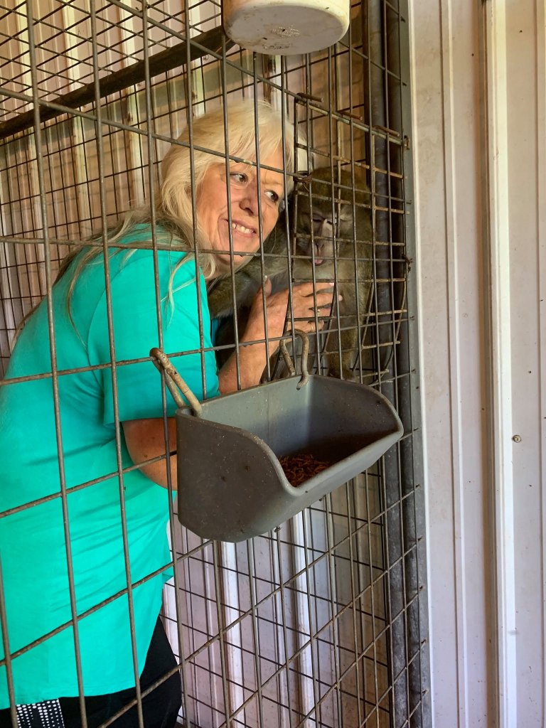 Missouri foster mom accused of trading teen for monkey avoids prison