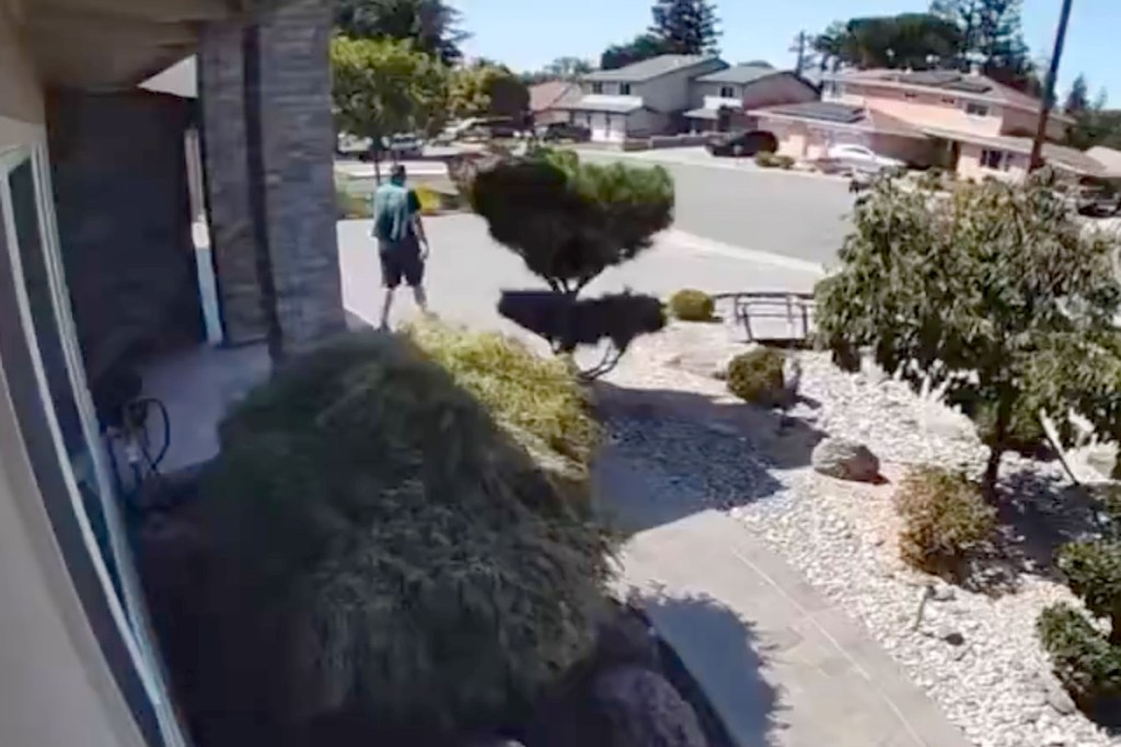 Thief in Amazon delivery disguise cases house before bringing back friends to rob it